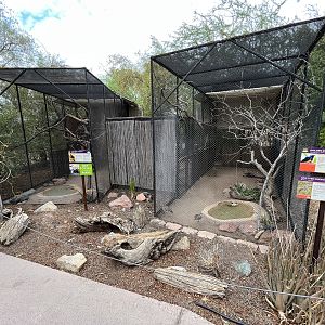 Two Aviaries (3 species)