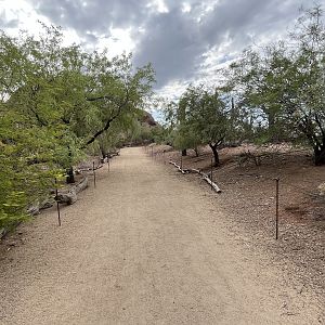 Desert Lives - visitor trail