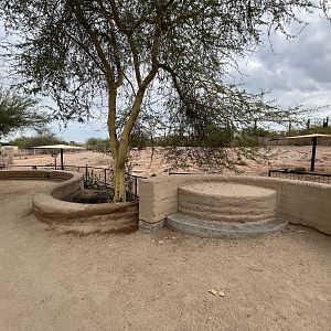 Arabian Oryx Exhibit