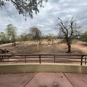 Africa Trail Exhibit (4 species)