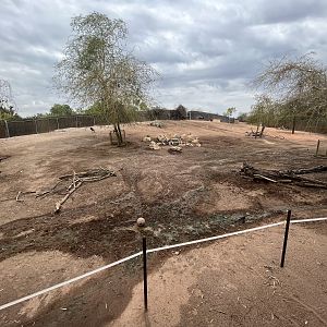 Africa Trail Exhibit (4 species)