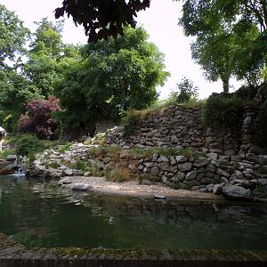 African penguin enclosure 6.7.23