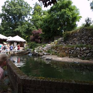 African penguin enclosure 6.7.23