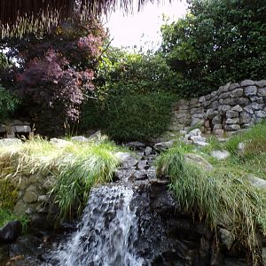 African penguin enclosure 6.7.23