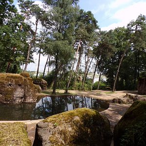 Asian elephant enclosure 6.7.23