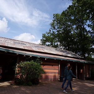 Lemur viewing area 6.7.23