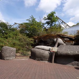 Meerkat enclosure 6.7.23