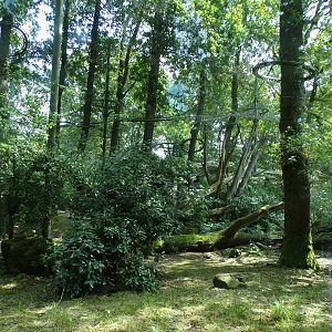 Sri Lankan leopard enclosure 6.7.23