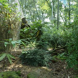 Empty enclosure (Formerly Jackal) 6.7.23