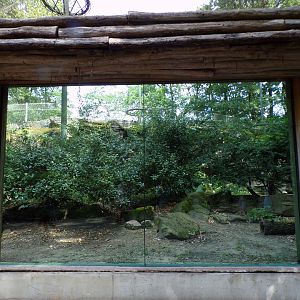 Empty enclosure (Formerly Jackal) 6.7.23