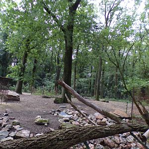 Hog deer enclosure (Formerly Reindeer) 6.7.23