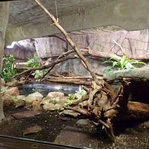 Reticulated python enclosure 6.7.23