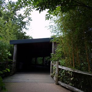 Path up to Buff-Cheeked gibbon viewing area 6.7.23