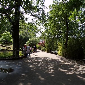 Plaza next to Sumatran tiger enclosure 6.7.23