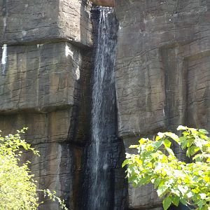 Waterfall in Sumatran tiger enclosure 6.7.23