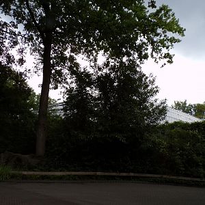 View of the mangrove dome from outside 6.7.23