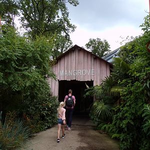 Mangrove entrance 6.7.23