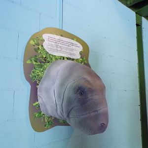 Manatee hot air blower 6.7.23