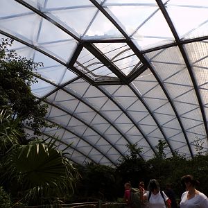 Mangrove dome 6.7.23