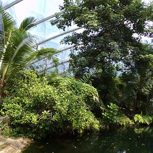 View of the mangrove 6.7.23