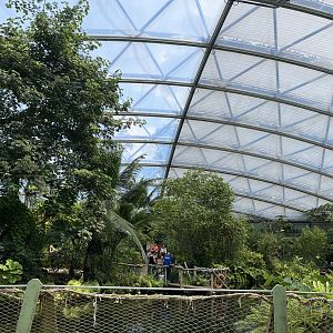 View of the mangrove 6.7.23