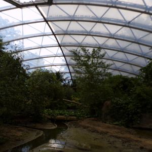 Fiddler crab mudflat  6.7.23