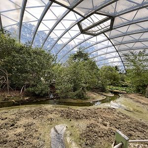 Fiddler crab mudflat 6.7.23