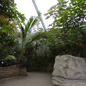 View of the foliage in the Mangrove 6.7.23