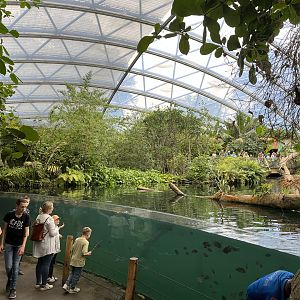 View over Manatee pool and the Mangrove 6.7.23