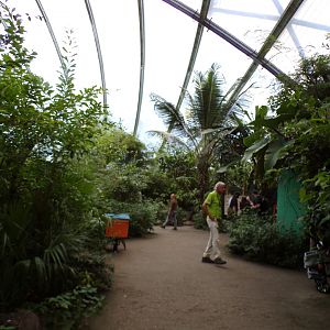View in the Mangrove 6.7.23