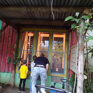 Cocoon section 6.7.23