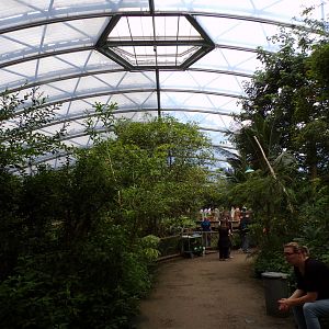 View of the Mangrove 6.7.23