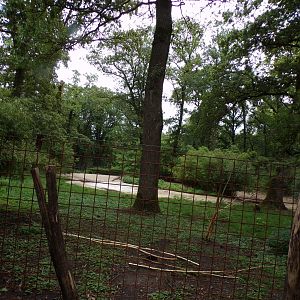 Swamp wallaby enclosure (Formerly flamingo) 6.7.23