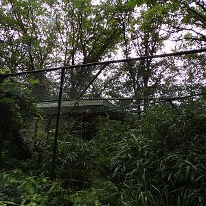 Bird house- Kookaburra cage 6.7.23