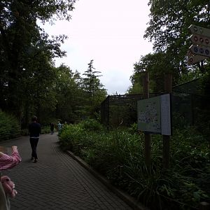 Bird house- view of outdoor cages 6.7.23