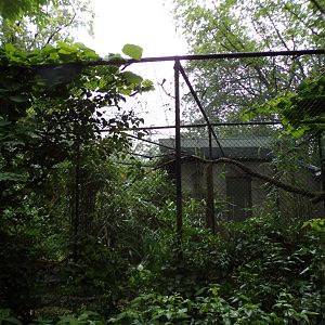 Bird house- Bird cage (unsure what one this is for) 6.7.23