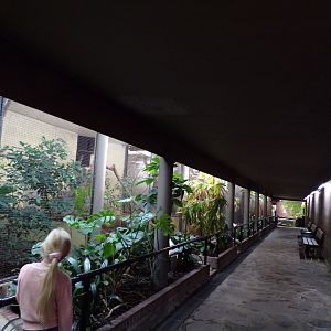 Bird house- View inside 6.7.23