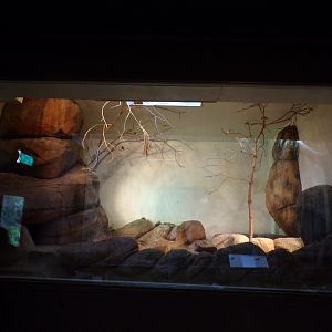 Bird house- Can’t remember what’s in here? 6.7.23