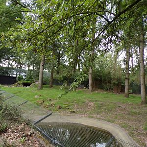 Swamp wallaby enclosure 6.7.23