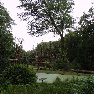 Chimpanzee enclosure 6.7.23