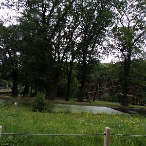 Chimpanzee enclosure 6.7.23