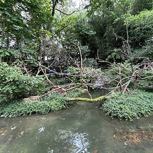 Hyacinth Macaw Exhibit