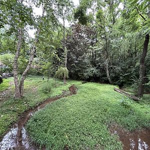 Saddle-billed Stork Exhibit