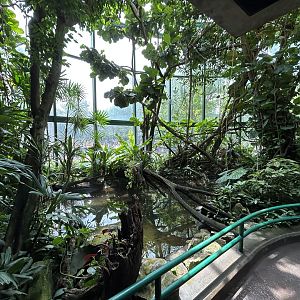 Aviary (13 Species) - Unseen New World