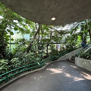 Aviary (13 Species) - Unseen New World