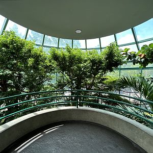 Aviary (13 Species) - Unseen New World