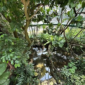 Aviary (13 Species) - Unseen New World