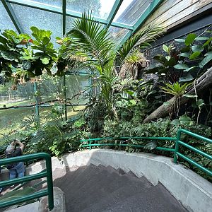 Aviary (13 Species) - Unseen New World