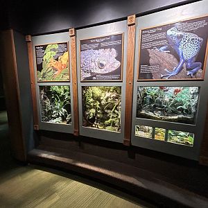 Amphibian Vivaria - Unseen New World