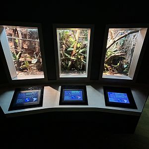 Snake Vivaria  - Unseen New World